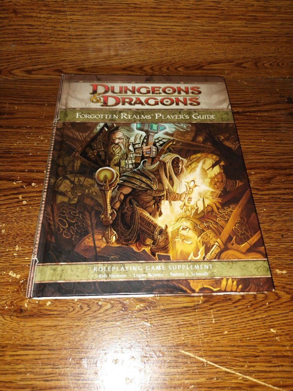 Dungeons and Dragons:  Forgotten Realms Player's Guide (2008, D20 System)